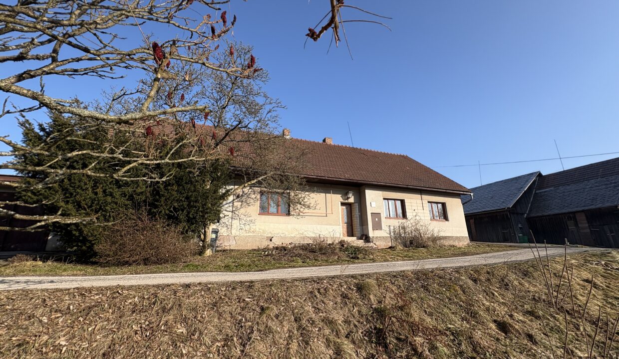 obrzek (4)