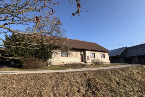 obrzek (4)