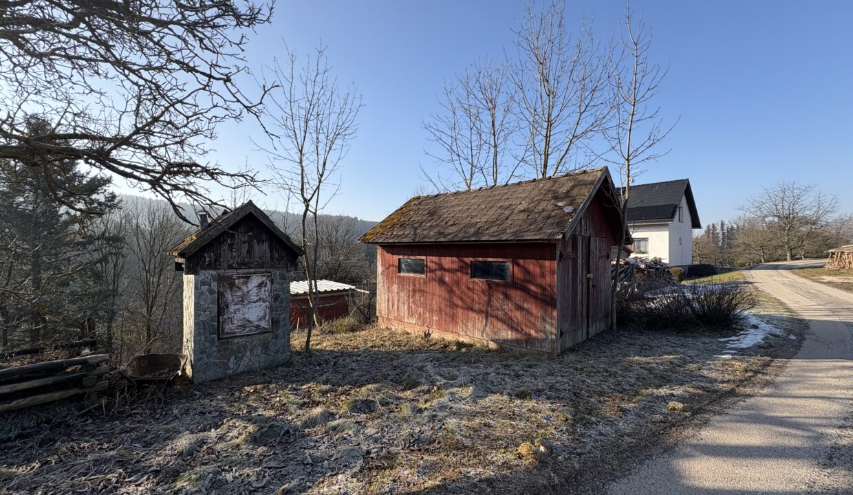 obrzek (5)