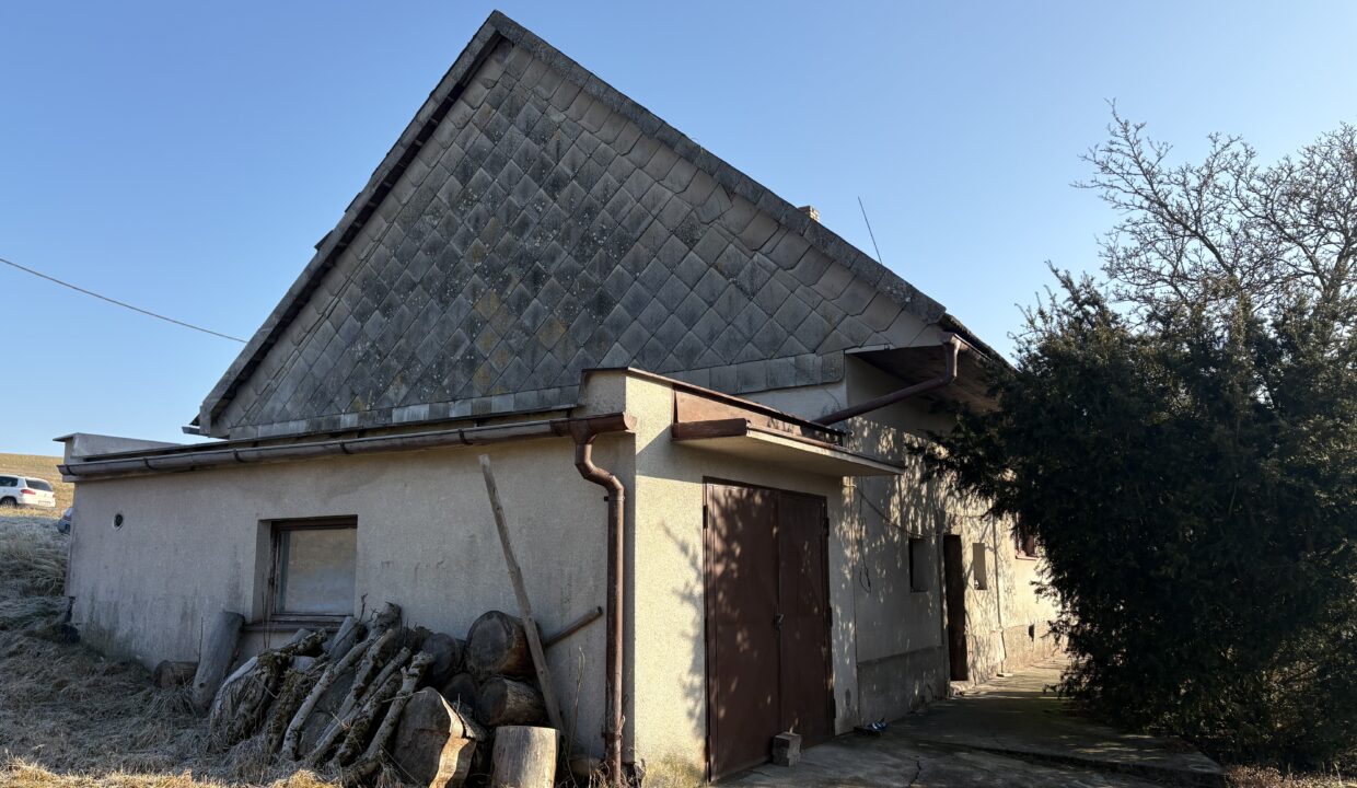 obrzek (6)