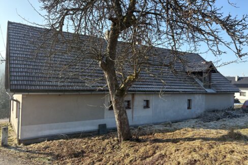 obrzek (7)