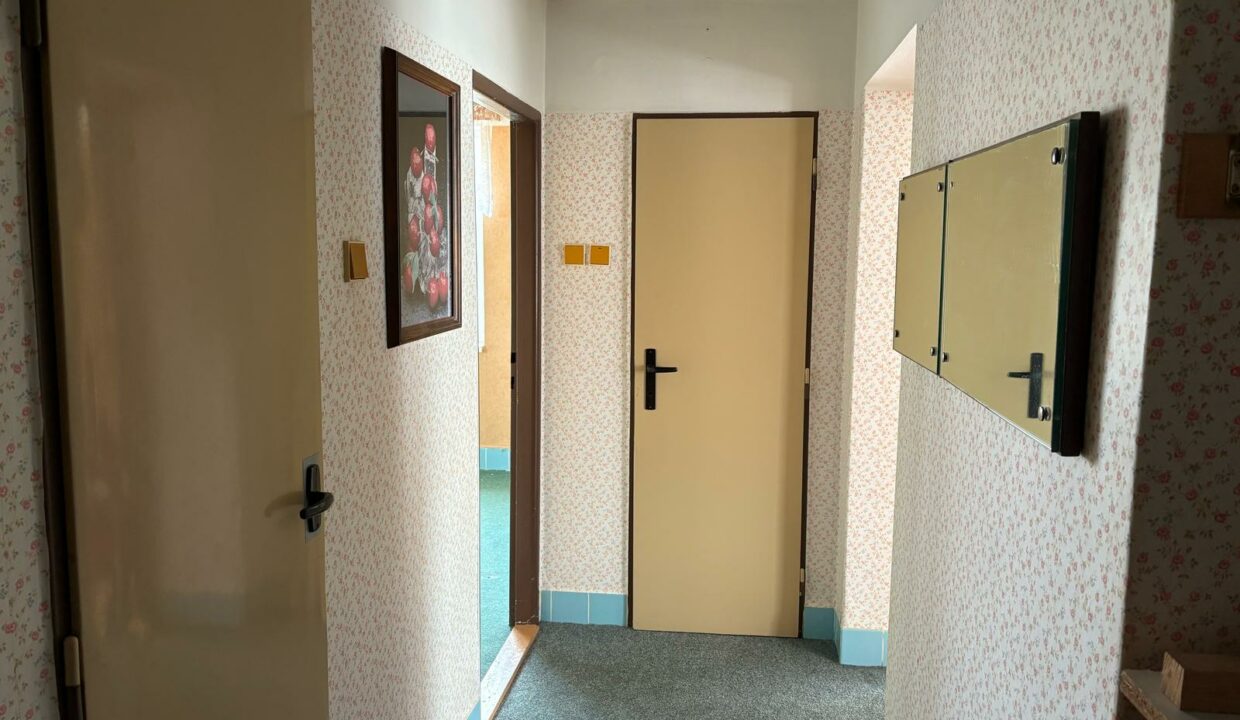IMG-20250318-WA0006