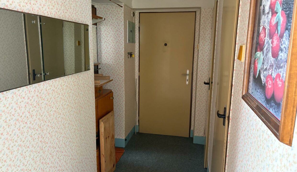 IMG-20250318-WA0008