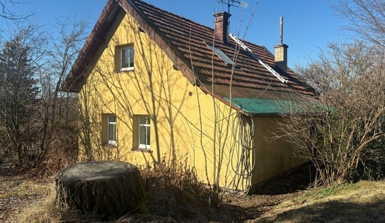 IMG-20250318-WA0009