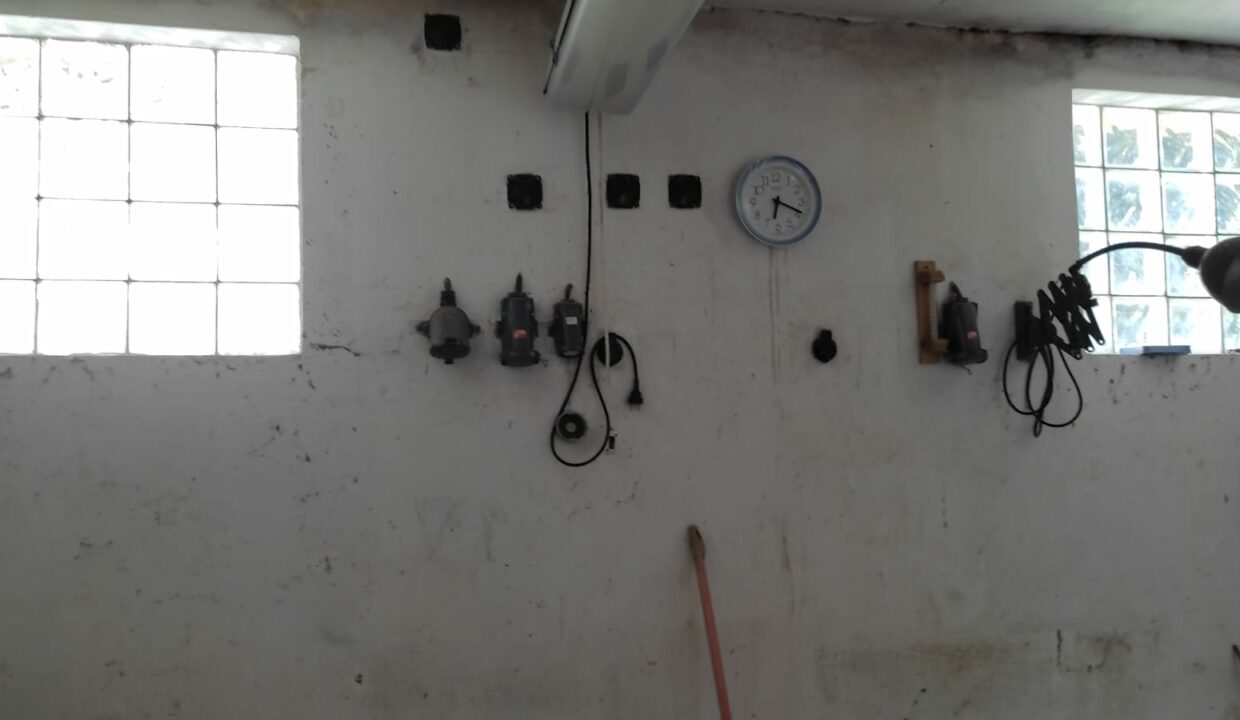 IMG-20241028-WA0005