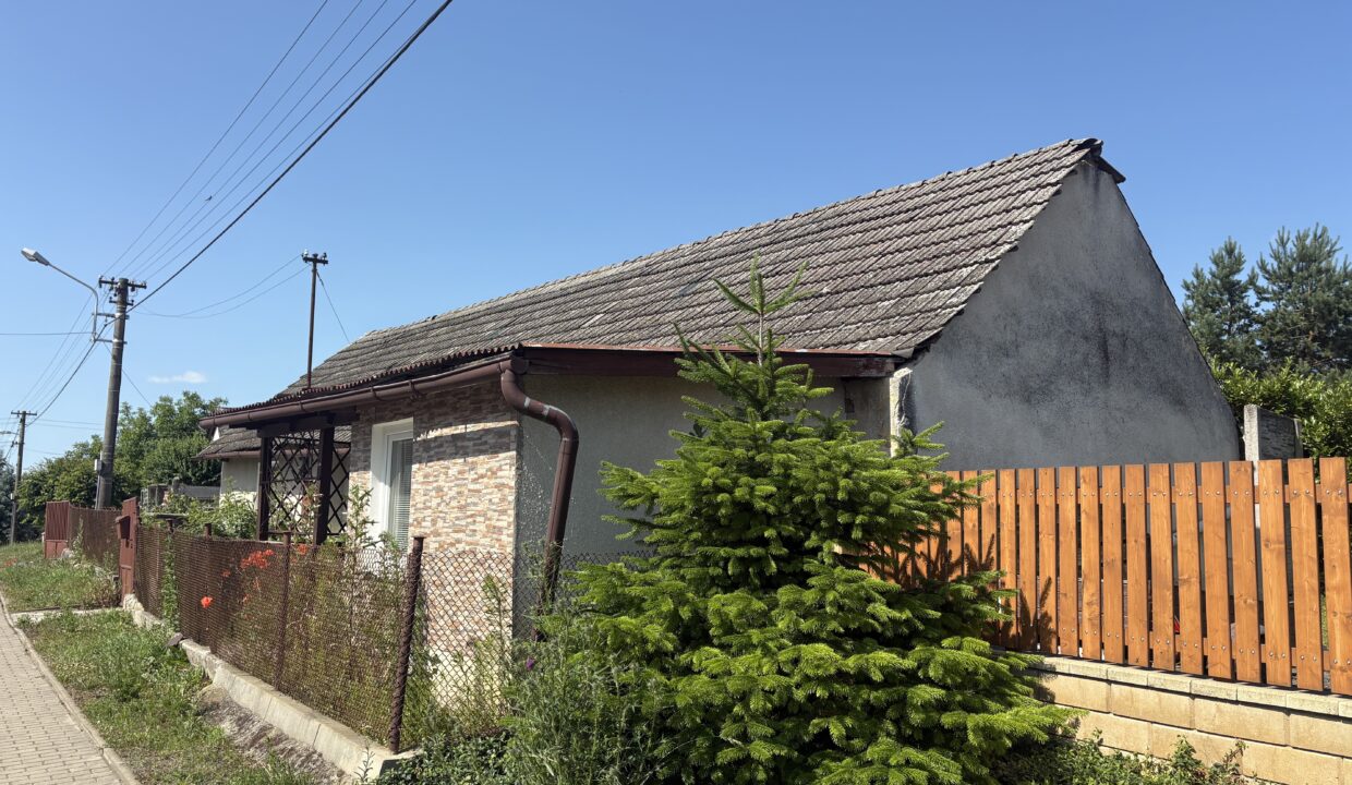 obrzek (9)
