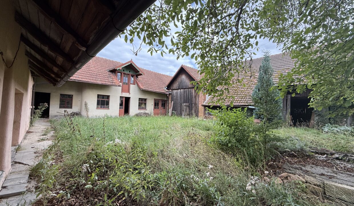 obrzek (72)