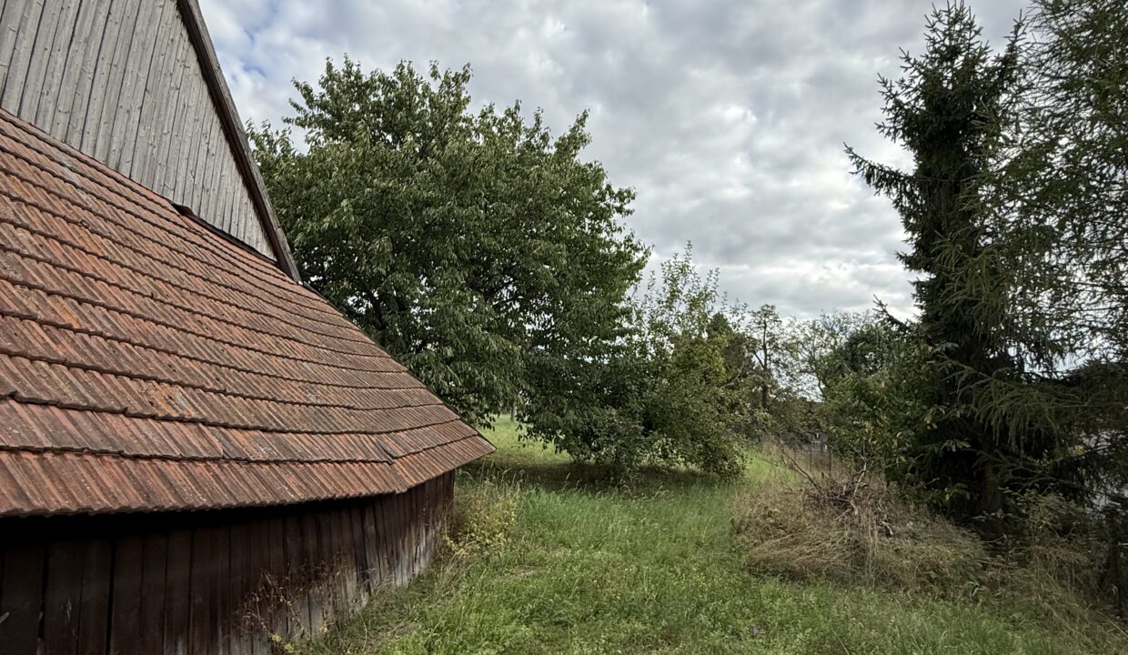 obrzek (79)