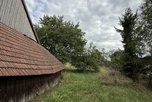 obrzek (79)