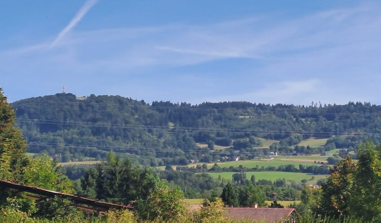 106ad6ff-56b6-42dd-8555-53fe5159719c