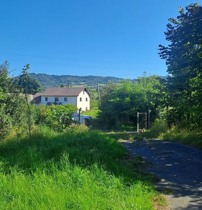 68646247-09f8-4d41-8300-a4315a2eb54a