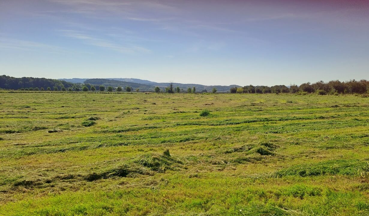 7fbab6dc-ecea-4412-8bc5-96c7a126efa5