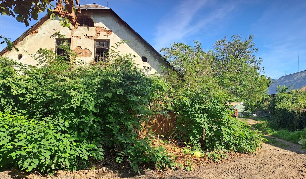 811a413c-9b7d-4cda-ad95-49aab4f6580f