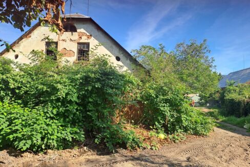 811a413c-9b7d-4cda-ad95-49aab4f6580f