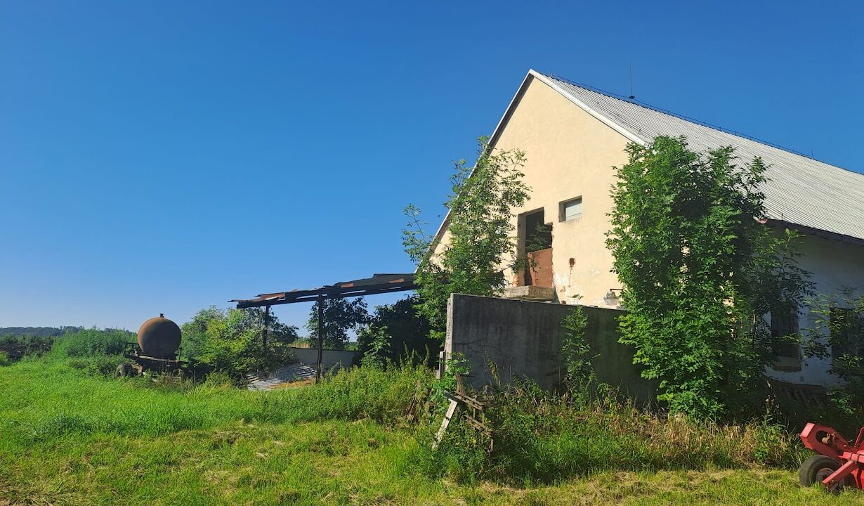 a70bde4a-490e-4e2c-8b55-e89437b83b69