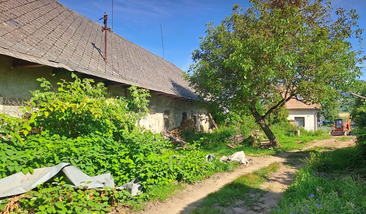 bb25f9c5-7eef-4872-a041-8926155253e7