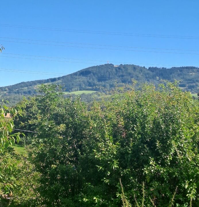 d18e31af-3b60-4de2-9cbb-d40c73e7c46c