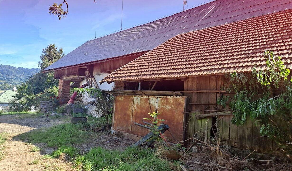 db8dd864-02fd-4eba-b80f-b8e3cad8b86e