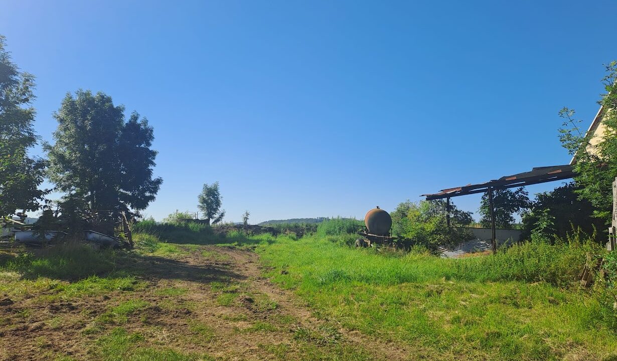 e63e5e46-5e52-418a-825f-de291d723c01