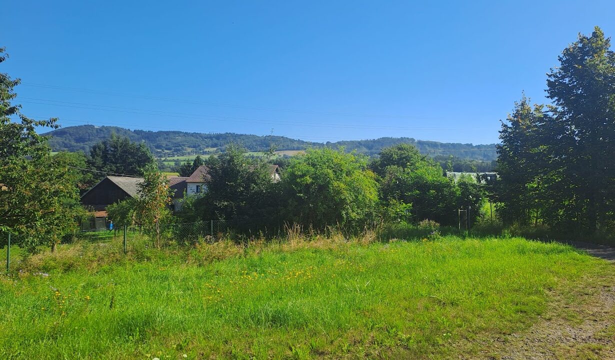 ef3f795d-6f23-41f4-844f-a794efac170a