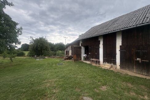 IMG_9794