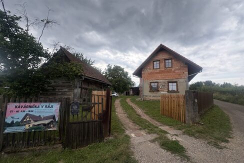 IMG_9796